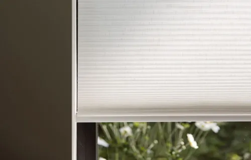 Large web MotionBlinds 3M5A4269 HR